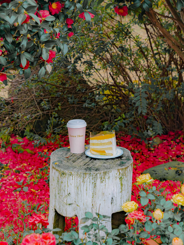 ์ ์ฃผ ๋๋ฐฑ ํ์๋ก ๊ฐ์ผํ๋ ๊ณณ๐บ ์ ์ฃผ ๋๋ฐฑ ํ์๋ก ๊ฐ์ผํ๋ ๊ณณ๐บ