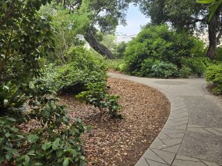 The Huntington Library, Art Museum, and Botanical Gardens