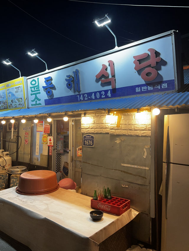 🇰🇷 충북 영동 월류봉에서 시작하는 겨울 힐링 여행 🇰🇷 충북 영동 월류봉에서 시작하는 겨울 힐링 여행