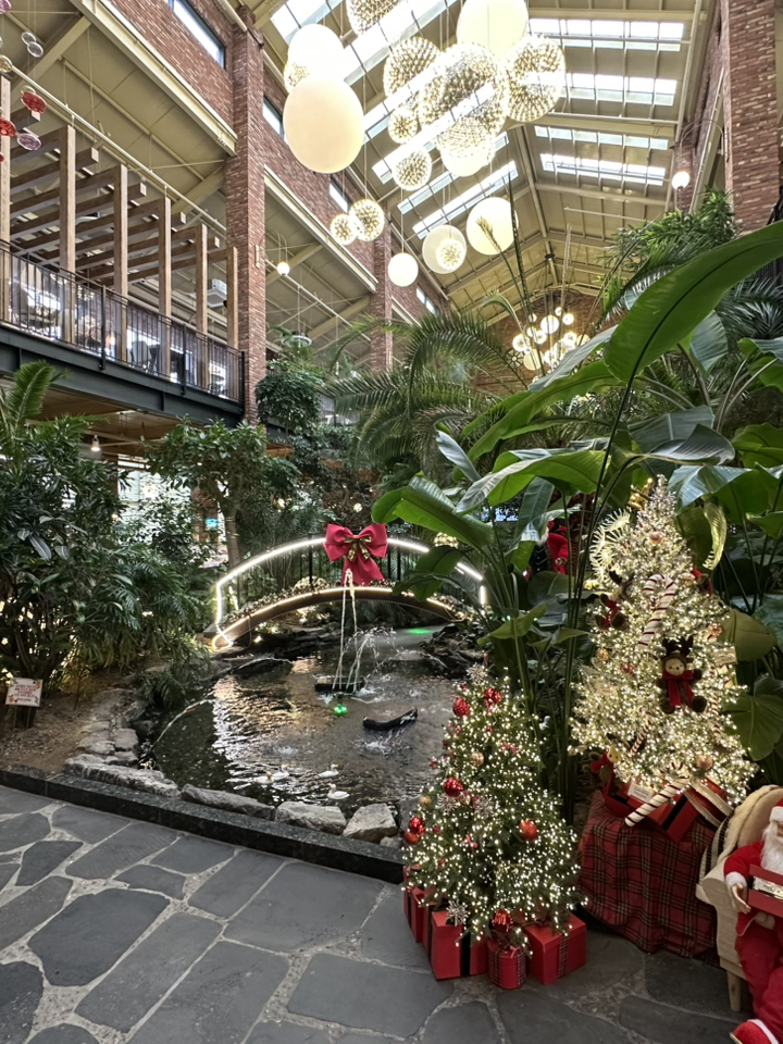 Forest Outings Seoul: A Nature-Themed Cafe Escape in the City