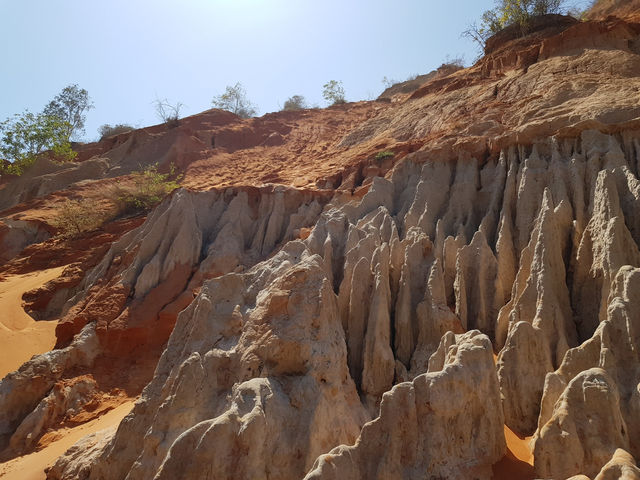 🌾 Fairy Stream, Mũi Né 🇻🇳