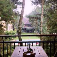 Nature-Lover’s Dream Stay: Cozy Hotel Review 🏡🌲