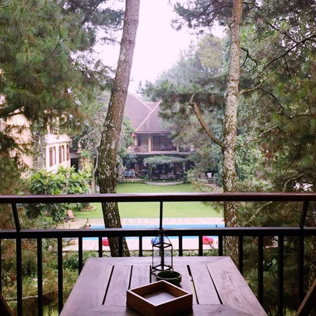 Nature-Lover’s Dream Stay: Cozy Hotel Review 🏡🌲 Nature-Lover’s Dream Stay: Cozy Hotel Review 🏡🌲