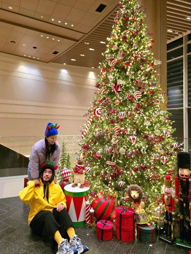 로맨틱 겨울낭만 가득한 경주 여행코스🎄 로맨틱 겨울낭만 가득한 경주 여행코스🎄