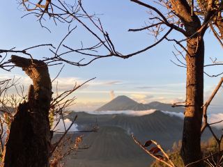 Nature at Its Peak🍃