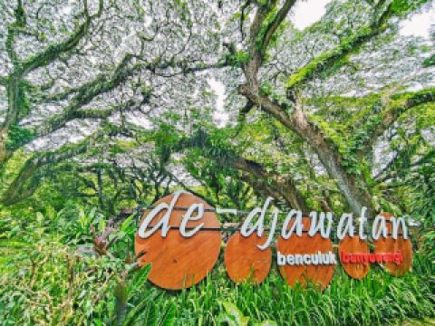 ป่าเดอ จาวาทัน, เบนคูลุค บันยูวังกิ