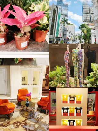 디즈니 at 부기스 플러스