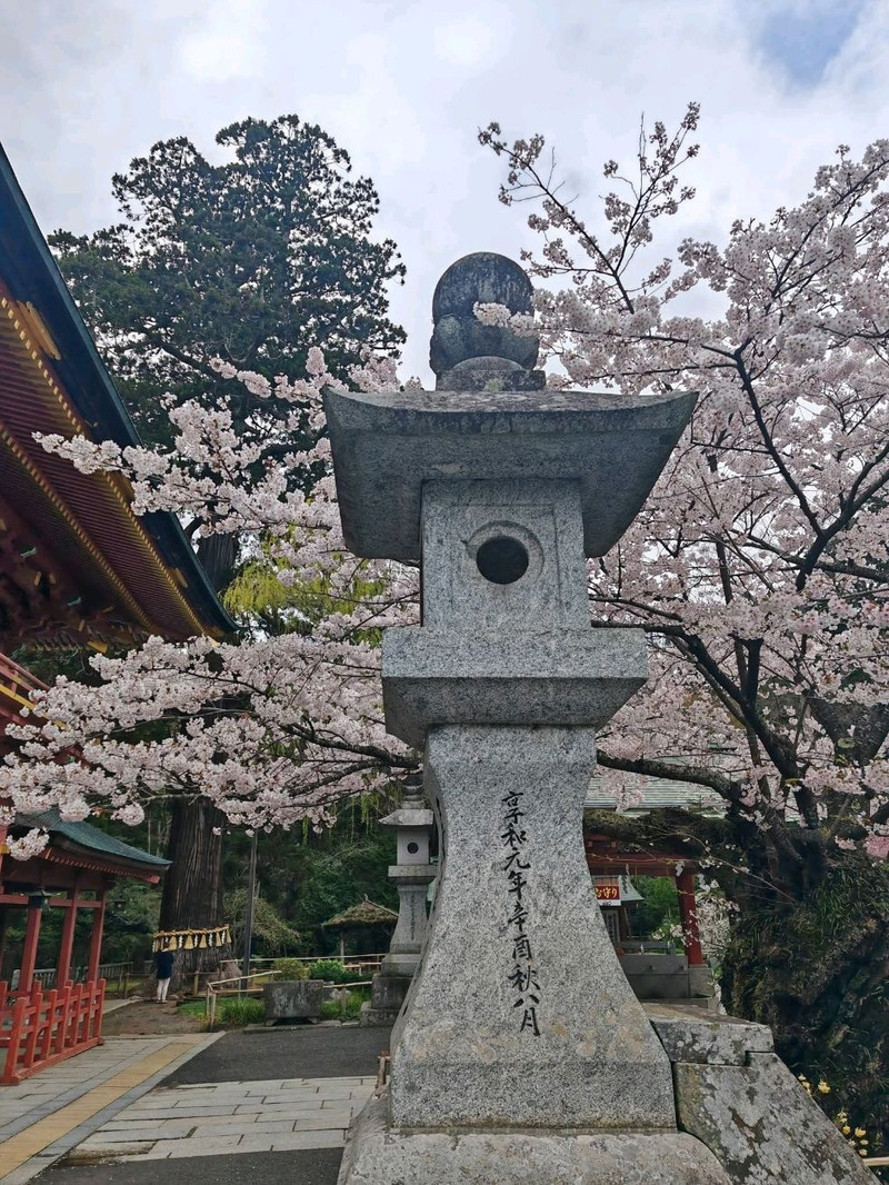 ศาลเจ้าโบราณที่มีซากุระและสวนสวยๆ