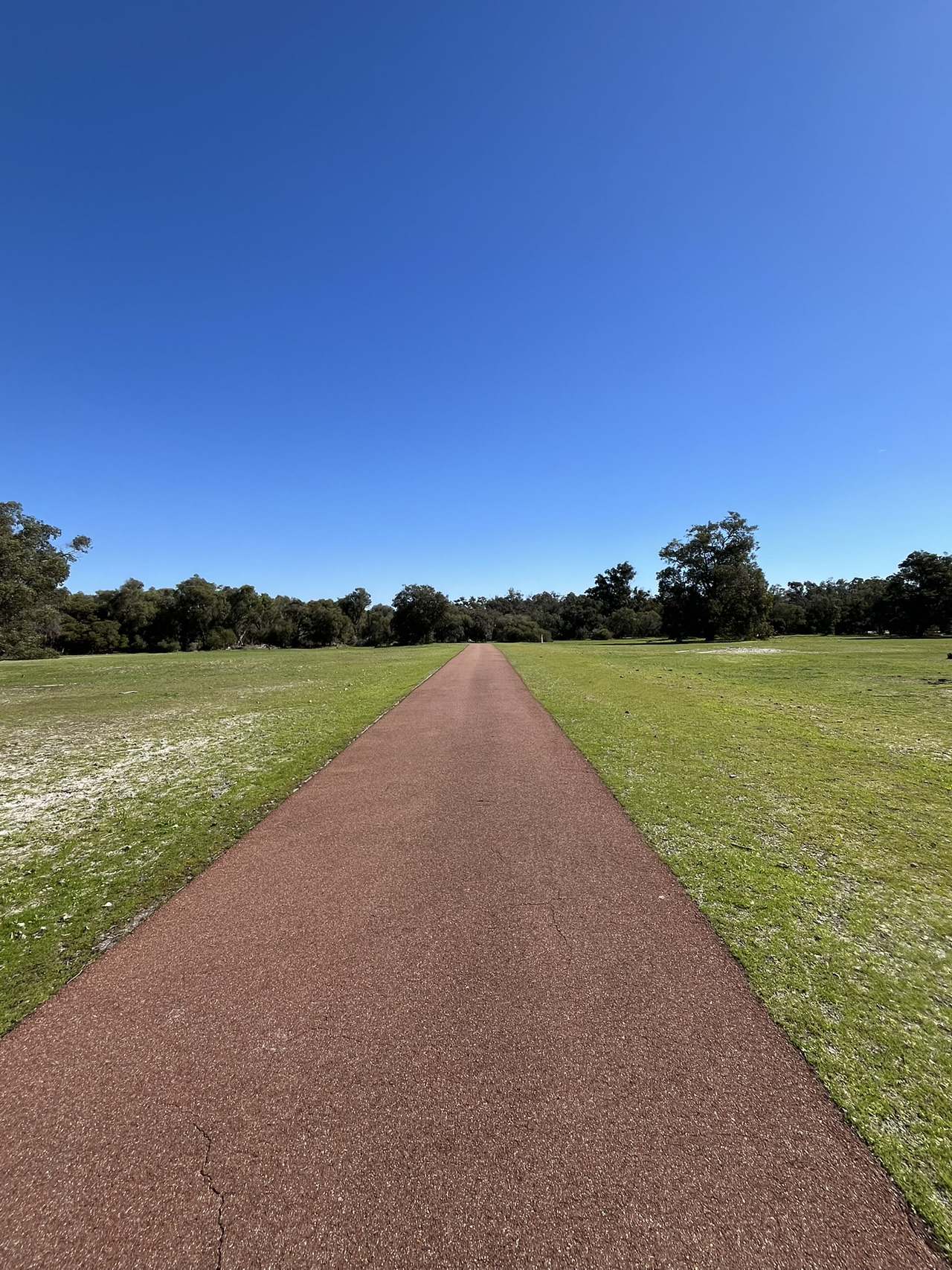 [Perth 🇦🇺] Một địa điểm nổi tiếng để gặp gấu koala 🐨 Chúng tôi cũng sẽ hướng dẫn bạn cách đến đó ✨
