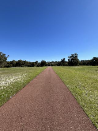 [Perth] Popular Spot to See Koalas & How to Get There.