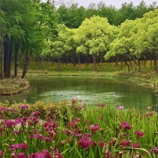 Daily stroll in Fengkai Tranquil Wetland Park