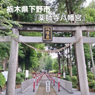 下野薬師寺の鎮守神‼️