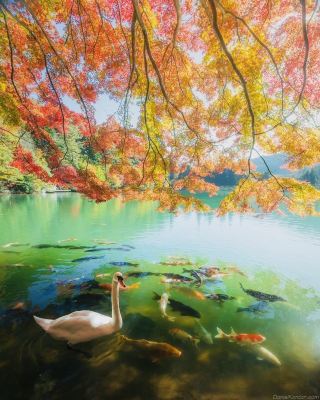 🇯🇵 Minami Alps | Japan’s Quiet Mountain Wonderland 🏔️🍁