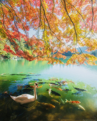 🇯🇵 Minami Alps | Japan’s Quiet Mountain Wonderland 🏔️🍁