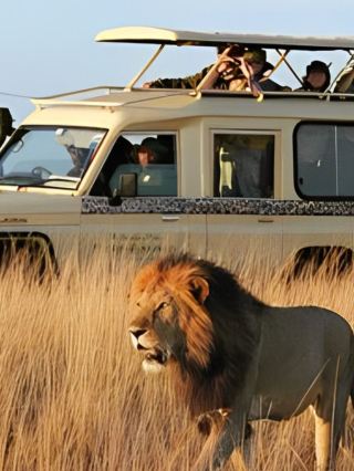 Maasai Mara - Kenya Edge of Chaos: Witnessing the Great Migration