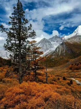 🍂 Autumn in Daocheng Yading | A Childhood Fairytale