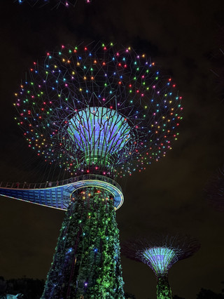 (Singapore) Pro tips from a local for Gardens by the Bay 🍯🍯🍯