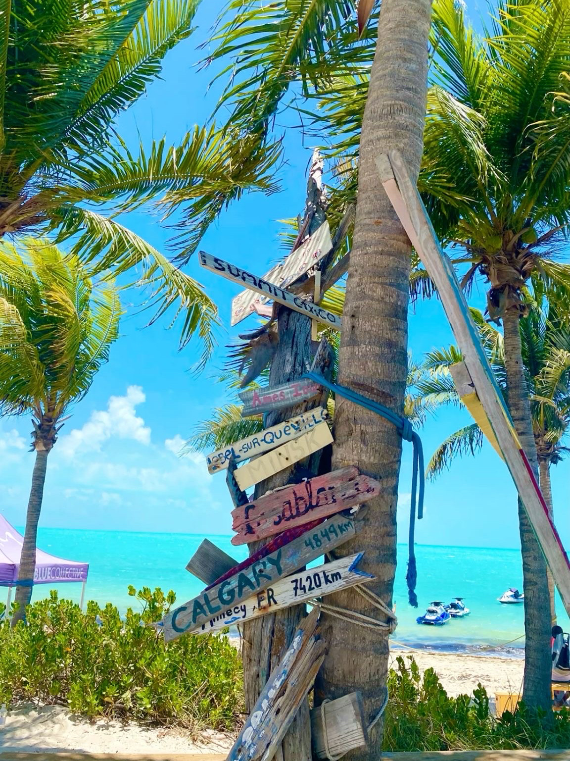 💙 Turks and CaicosTurks and Caicos: The Bluest Water You’ll Ever See 🇹🇨
