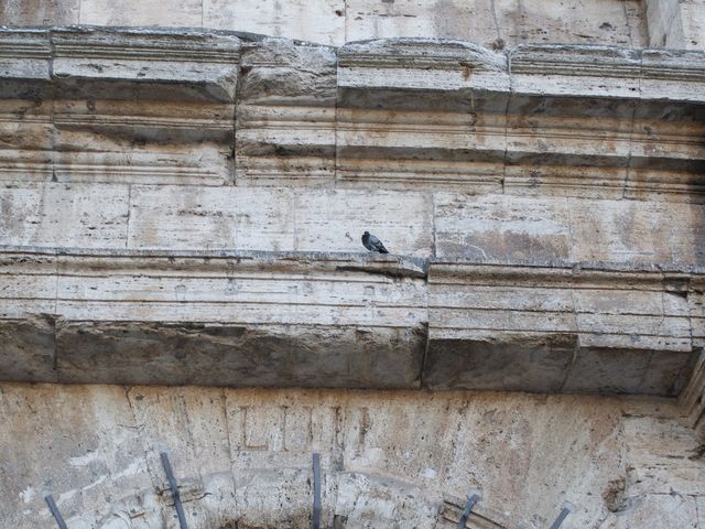 Walking in Rome by the Colosseum 