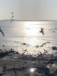 인천 여행 노을 맛집 동막해변 🌊🌅
