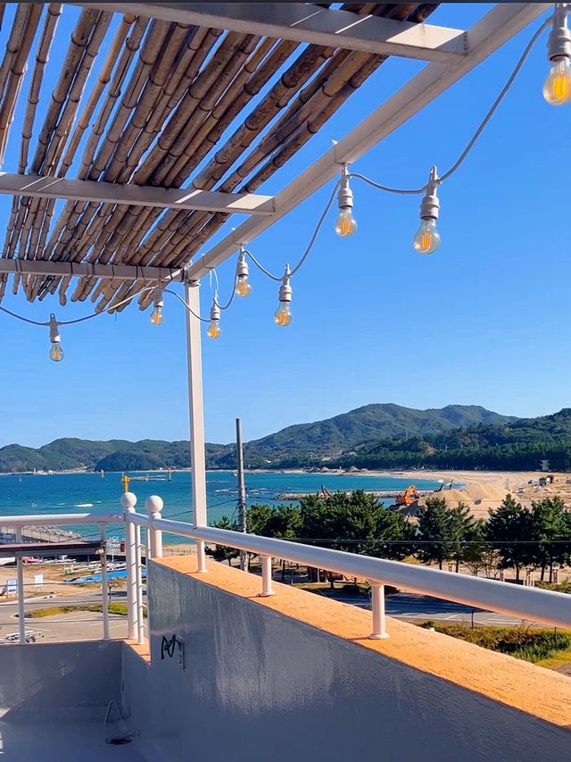 푸른 바다의 오션뷰와 따뜻한 감성이 함께 머무는 곳🧡삼척 감성카페 farola 