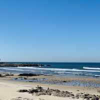 Beachside Bliss in Matosinhos
