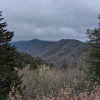 Mountain Holiday