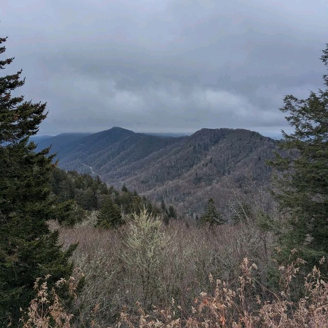 Mountain Holiday