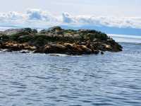 Fishermans Wharf in Dowtown Victoria BC Canada good for food and whale watching