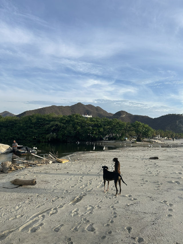 コロンビア最古の街📜🇨🇴【サンタマルタ】