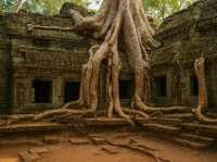 Cambodia: Temples, Traditions, and Timeless Charm