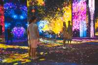 Dive Into a DreamWorld at teamLab SuperNature Macao – Art, Tech & Nature Collide!