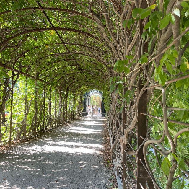 🇦🇹바로크양식의 아름다운 여름궁전 “쇤브룬궁 Schloss Schönbrunn”