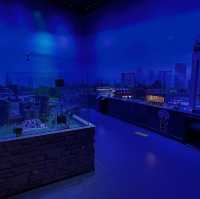 伯明翰落雨天放電好去處·Legoland Discovery Centre