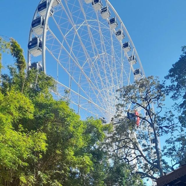 Must try: The Wheel of Brisbane 🇦🇺