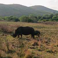 My favourite National Park in Douth Africa