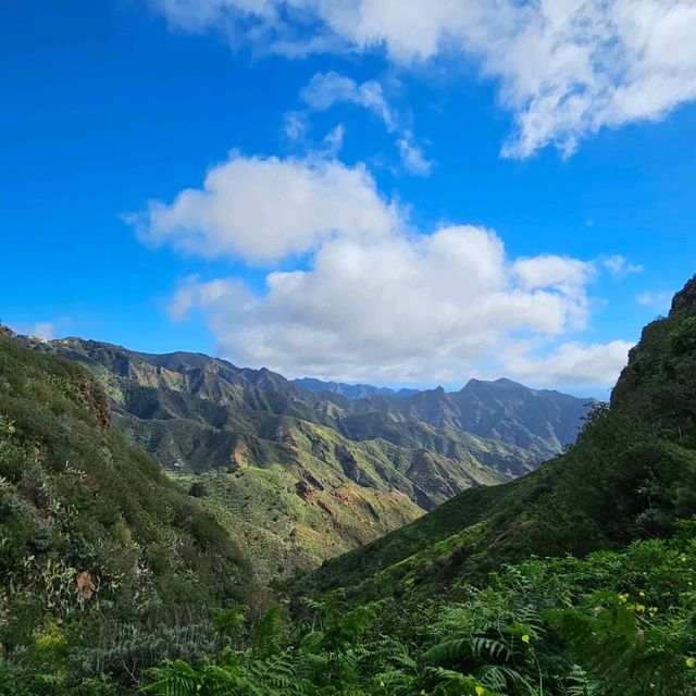 Anaga Rural Park walk. Tenerife.