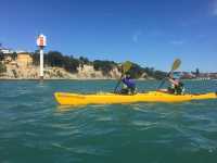 New Zealand's Urban Oasis