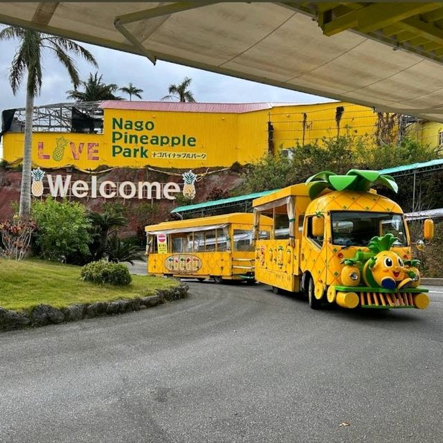 🍍名護鳳梨園🍍代表沖繩之水果