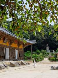 영주 부석사