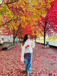 가을 토론토 시내 탐험 🍂