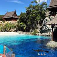Water park - not for the faint hearted! 