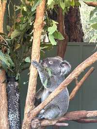 Picture perfect spots in Featherdale Sydney Wildlife Park