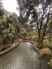A garden paradise 