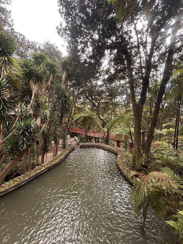 A garden paradise 