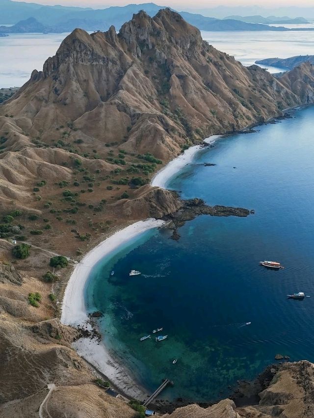 Trip to Komodo, Indonesia: A Wild Adventure 