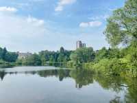 Springtime in Birmingham: From The Vale to Winterbourne Gardens