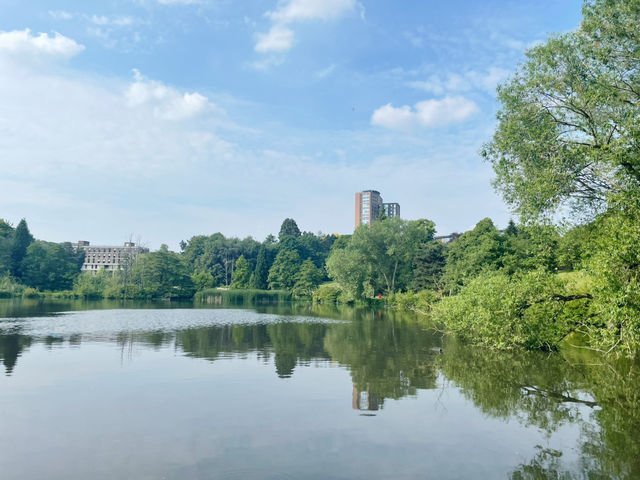 Springtime in Birmingham: From The Vale to Winterbourne Gardens