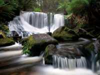  Discover Tasmania's Wilderness: The Hidden Gem of Australia!