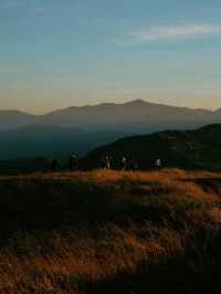 🌄 Top 5 Hikes from Baguio City You Can't Miss! 🥾🌲